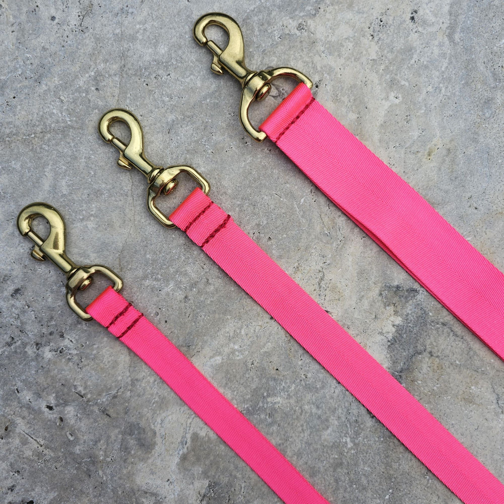 neon pink nylon webbing webbed adventure beach lead leash