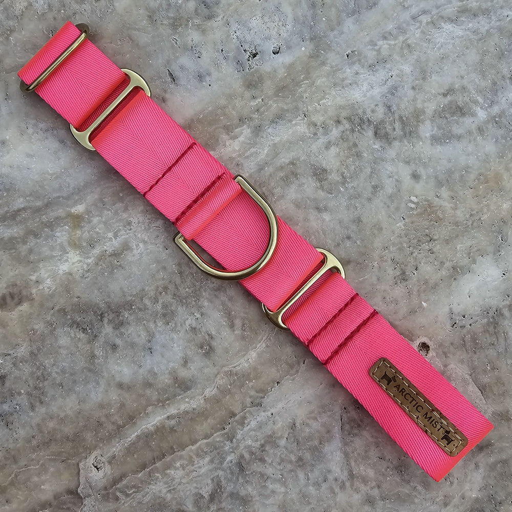 neon pink nylon webbing webbed beach adventure martingale collar 
