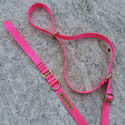 slip lead head halter dog nylon webbing webbed adventure beach neon pink