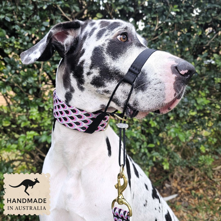 Noir Adventure Head Halter Attachment