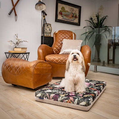 luxury australian made medium orthopedic dog bed orthopaedic supportive dog bed