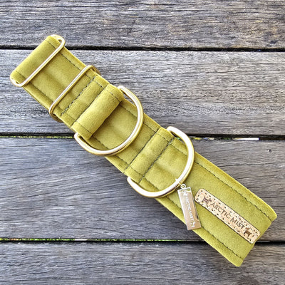 luxury olive velvet dog limited slip martingale collar