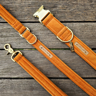 luxury burnt orange velvet buckle dog collar and leash lead