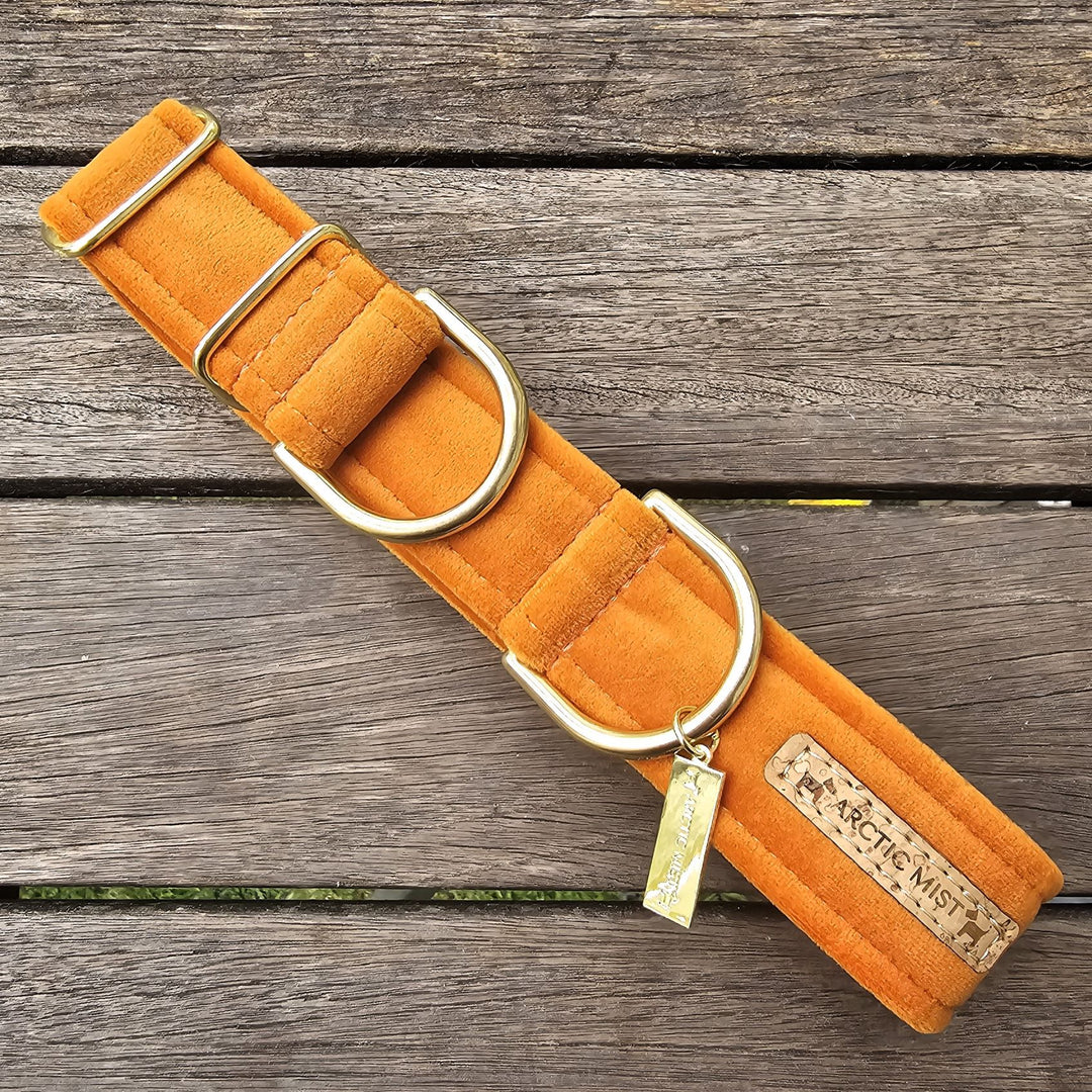 luxury burnt orange velvet dog limited slip collar martingale collar