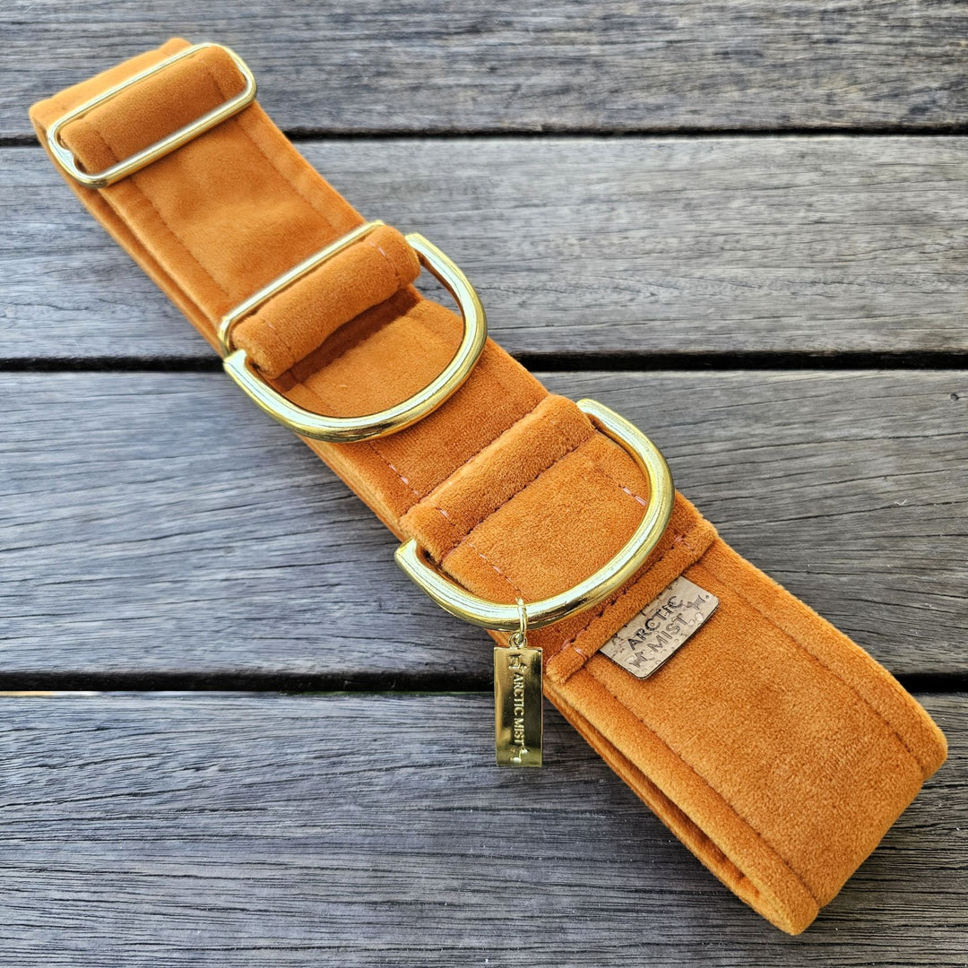 luxury burnt orange velvet dog limited slip collar martingale collar
