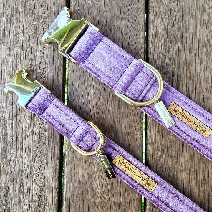 African Violet (Purple) Luxury Velvet Buckle Collar