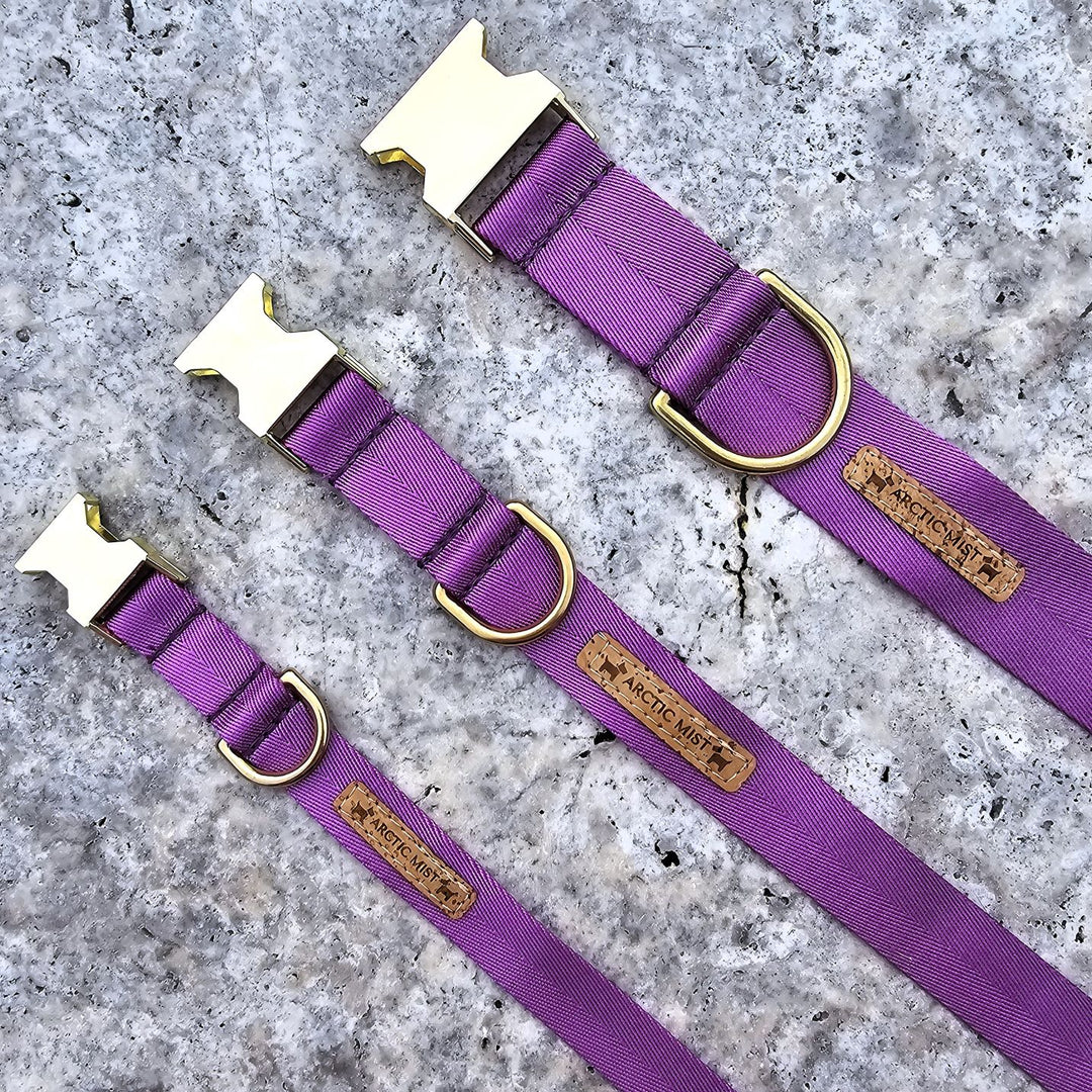 electric purple nylon webbing webbed adventure beach buckle collar