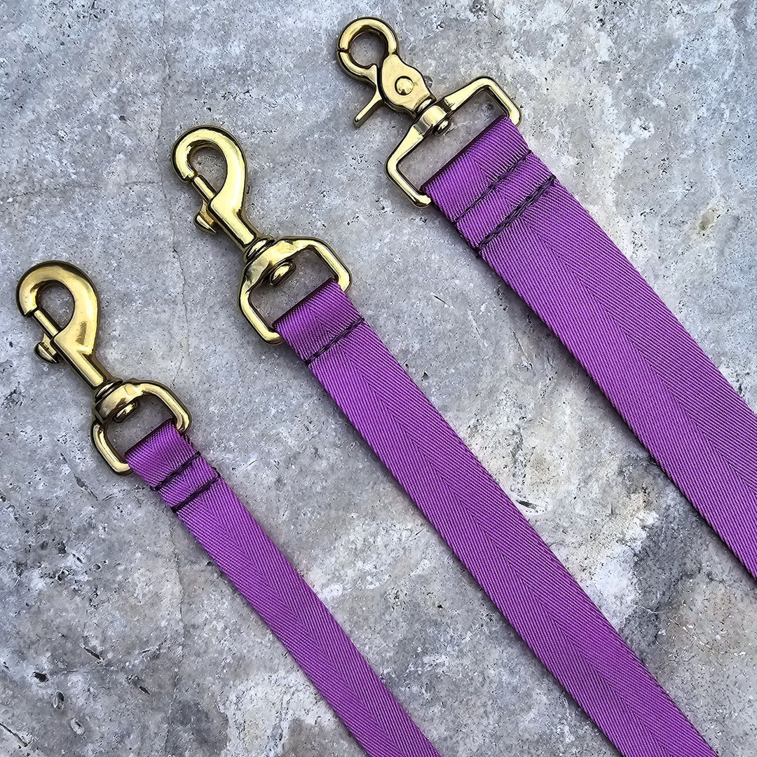 electric purple nylon webbing webbed adventure beach lead leash