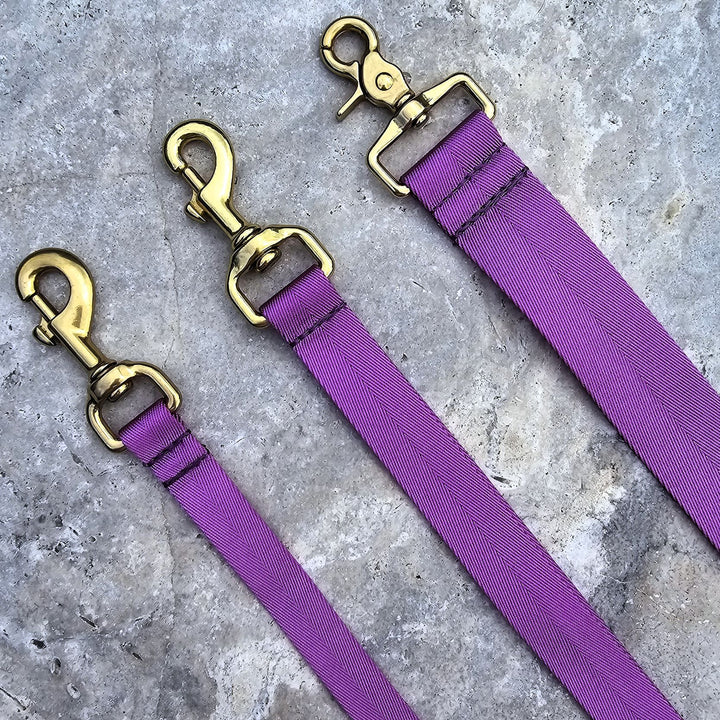 electric purple nylon webbing webbed adventure beach lead leash