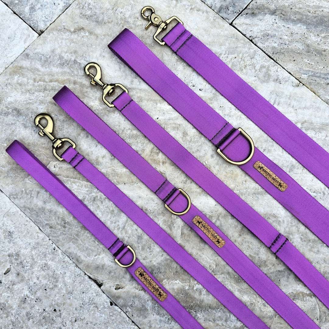 electric purple nylon webbing webbed adventure beach lead leash