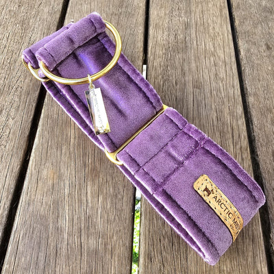 African Violet (Purple) Luxury Velvet Martingale Collar