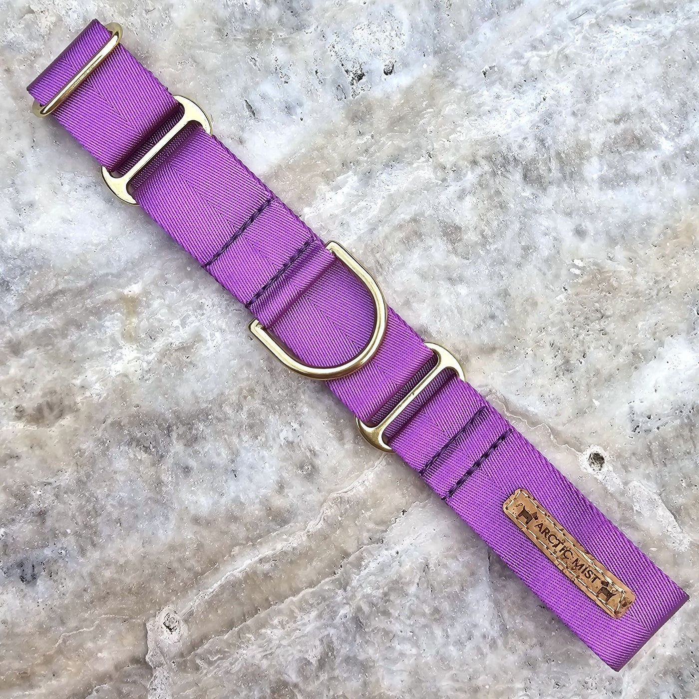 electric purple nylon webbing webbed beach adventure martingale collar