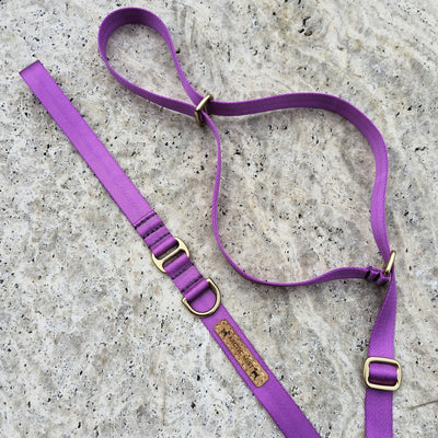 slip lead head halter dog nylon webbing webbed adventure beach electric purple