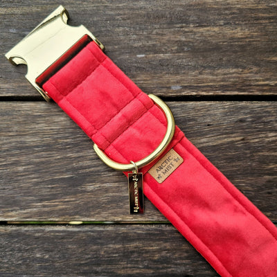 Red Luxury Velvet Buckle Collar