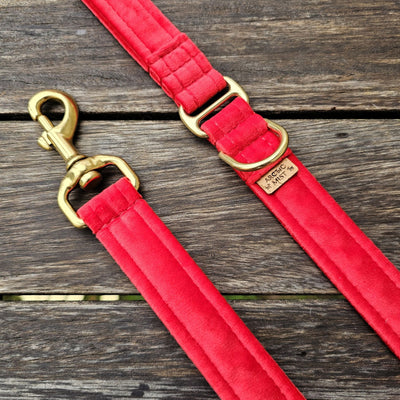 luxury red velvet dog lead leash