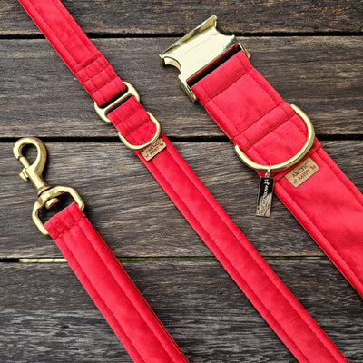 luxury red velvet dog lead leash