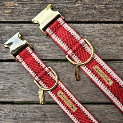 red luxury webbing webbed wide dog buckle collar