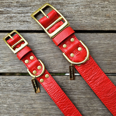 Fiery Red Luxury Kangaroo Leather Buckle Collar