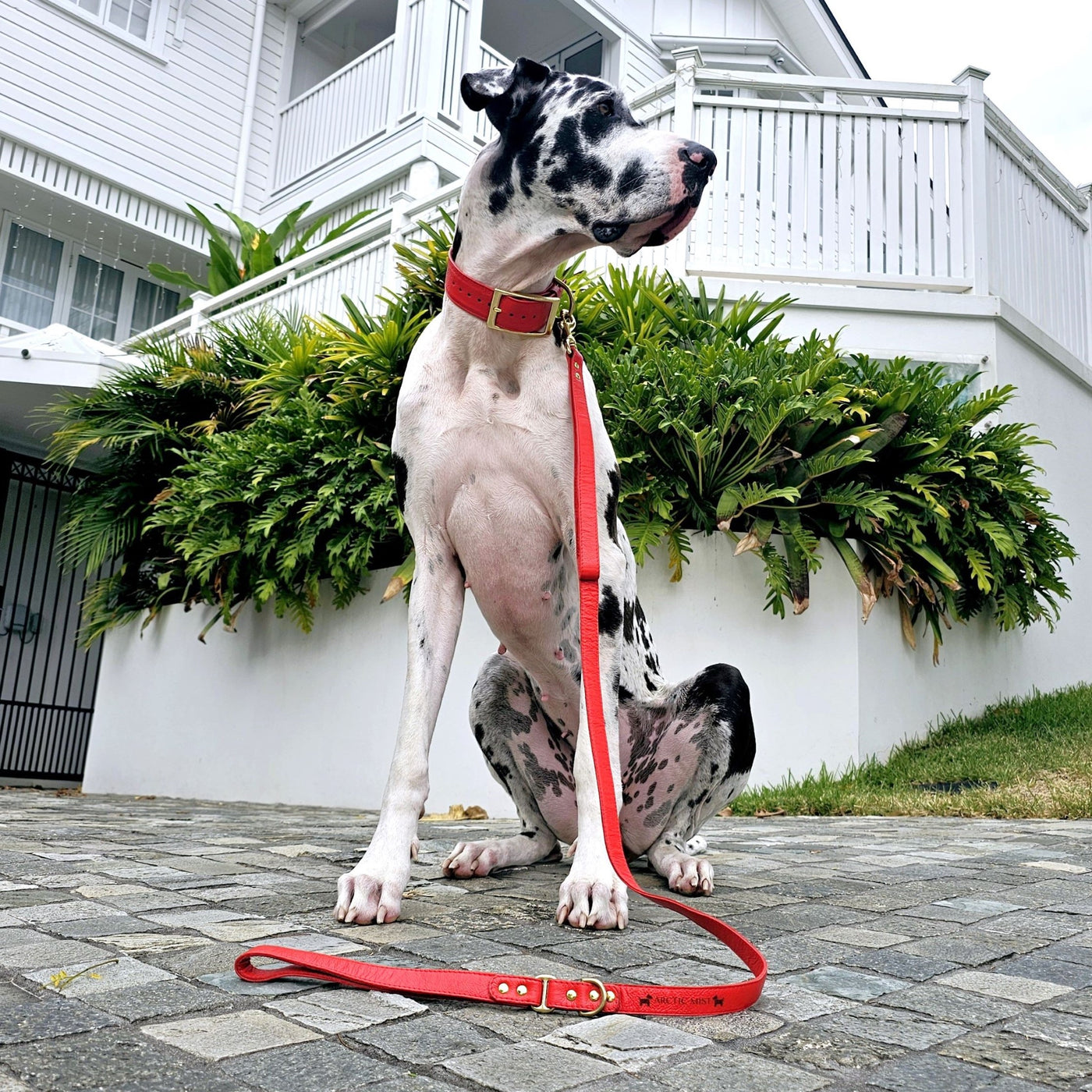 Fiery Red Luxury Kangaroo Leather Lead