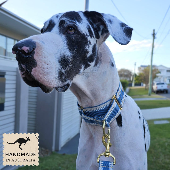 Storm Blue St Tropez Martingale Collar