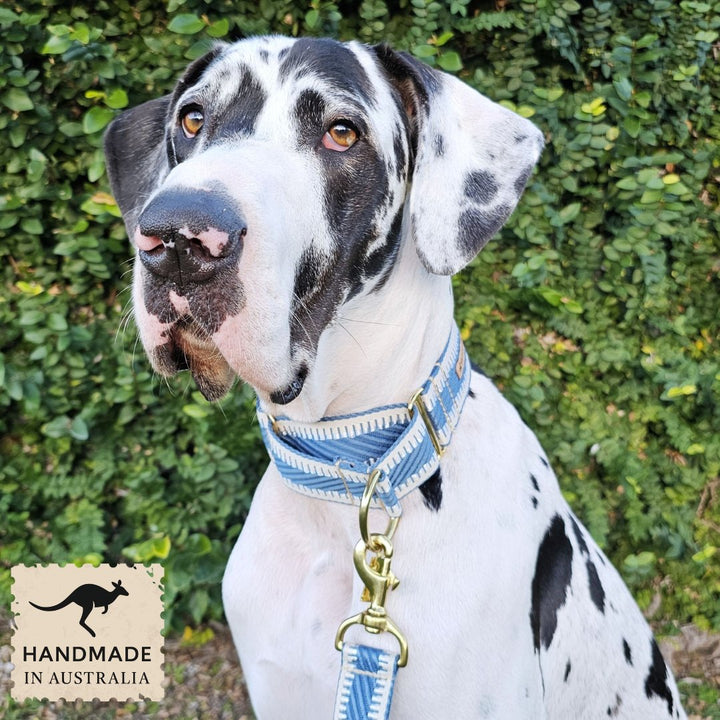 Storm Blue St Tropez Martingale Collar