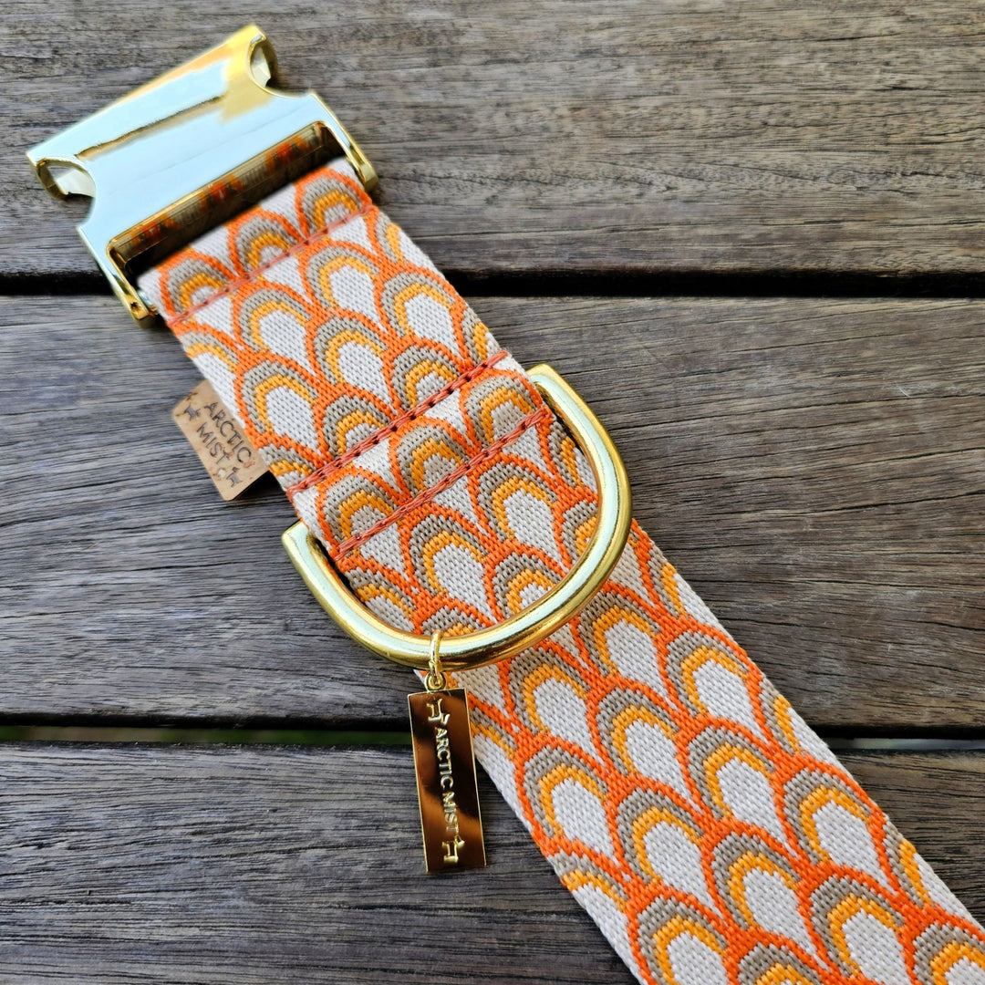 tangerine orange webbing monte carlo buckle collar