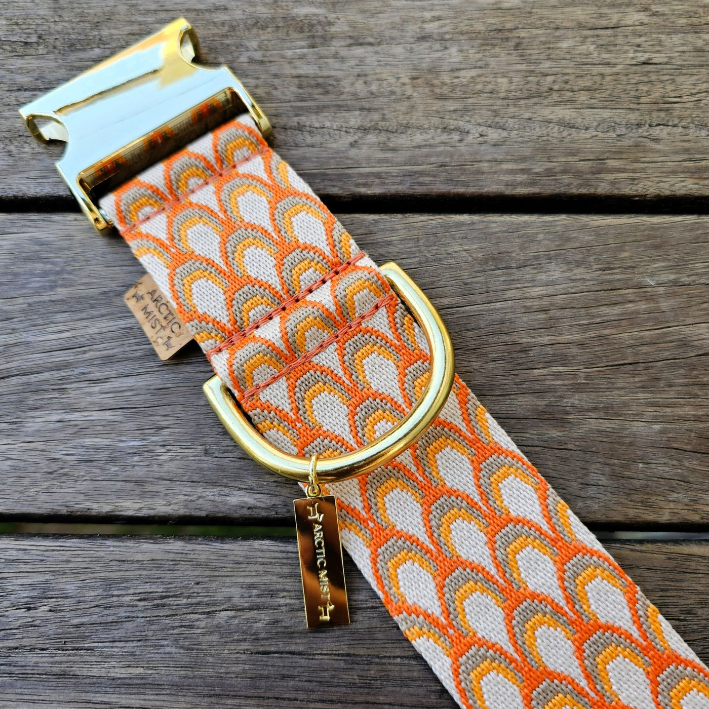 tangerine orange webbing monte carlo buckle collar