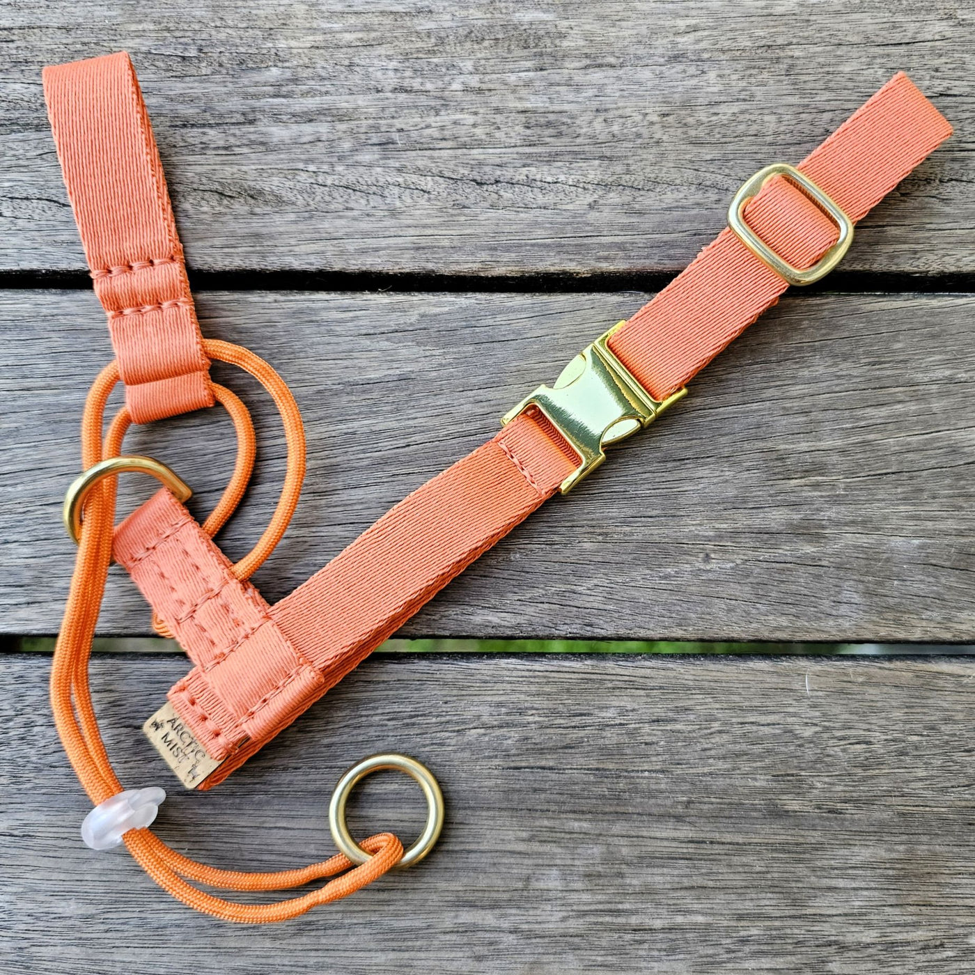 tangerine sunset orange dog training head halter halti 