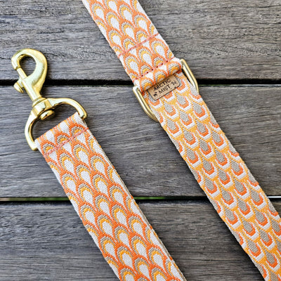 tangerine sunset orange dog statement lead leash monte carlo