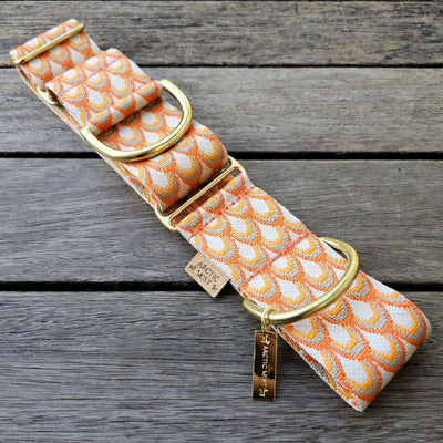 tangerine sunset orange dog martingale collar limited slip collar
