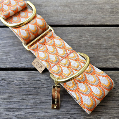 tangerine sunset orange dog martingale collar limited slip collar