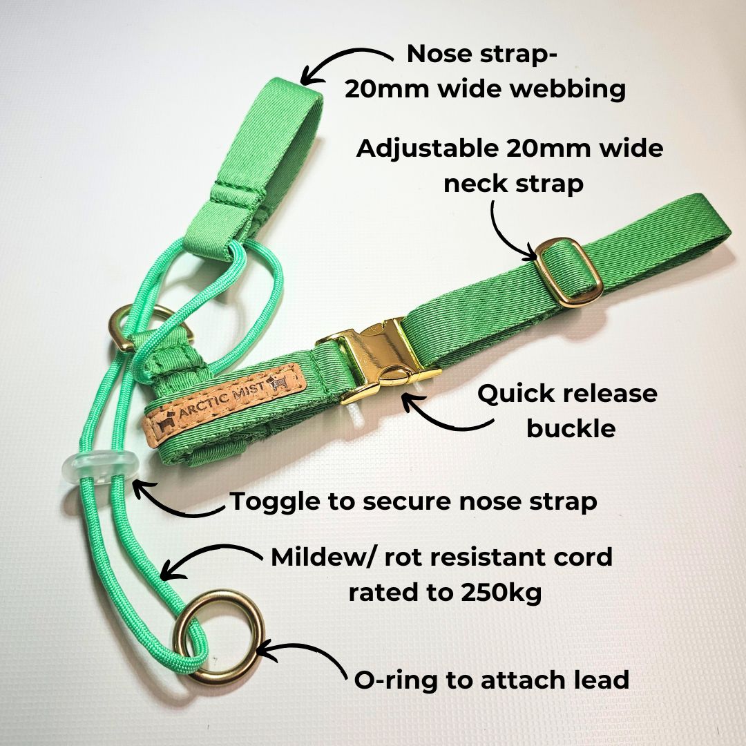 Lavender Complete Adventure Training Halter