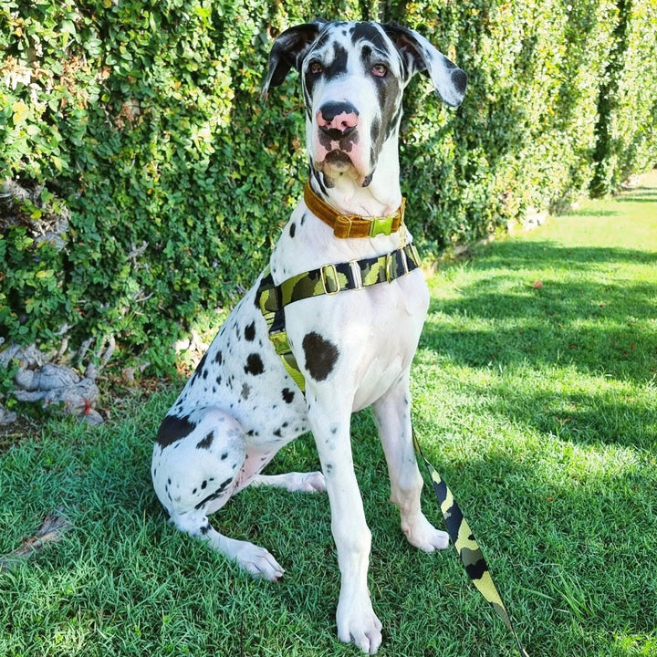 Glam Camo Harness