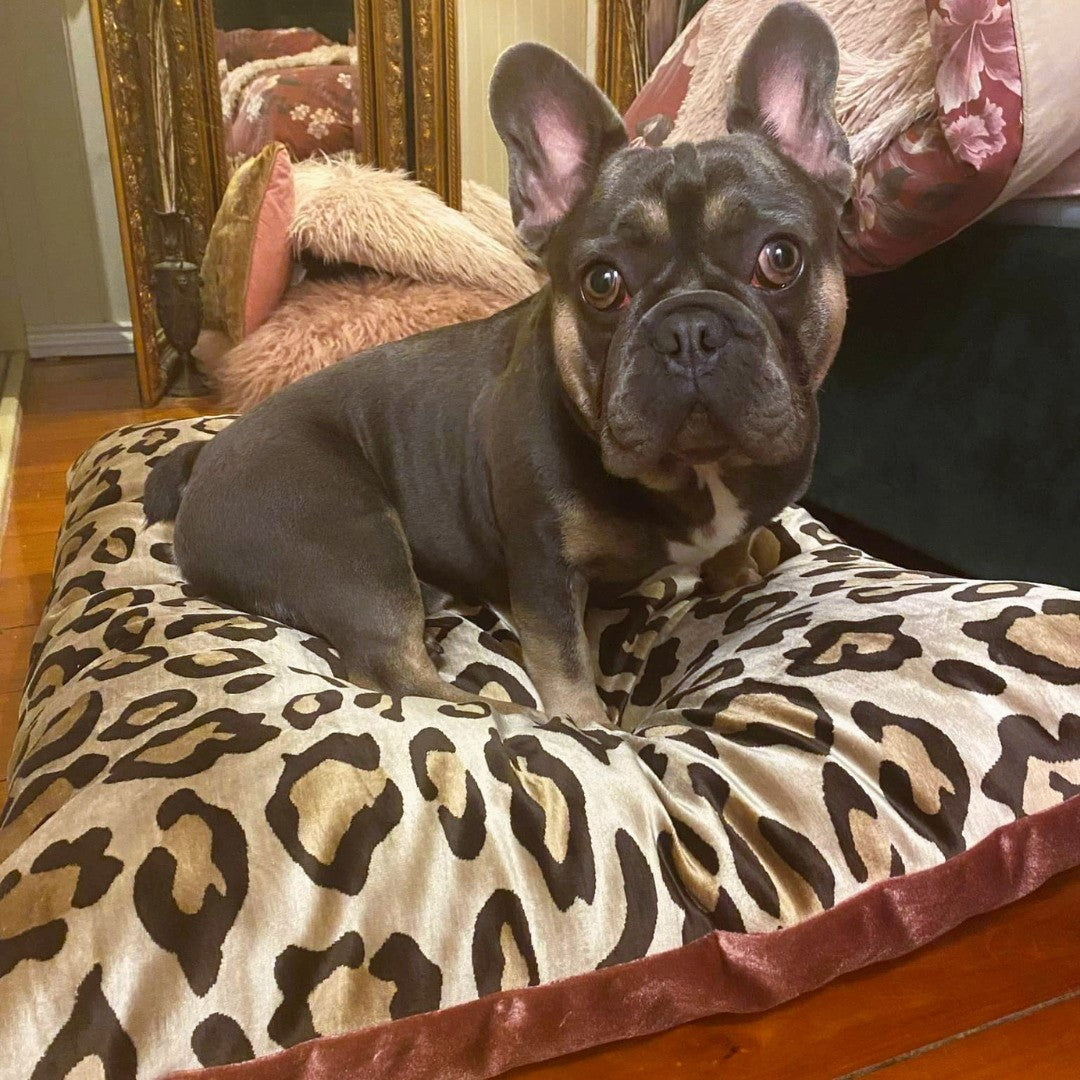Luxe Leopard Velvet Bed