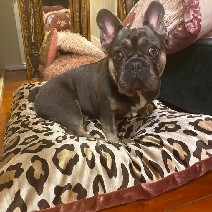 Luxe Leopard Velvet Bed