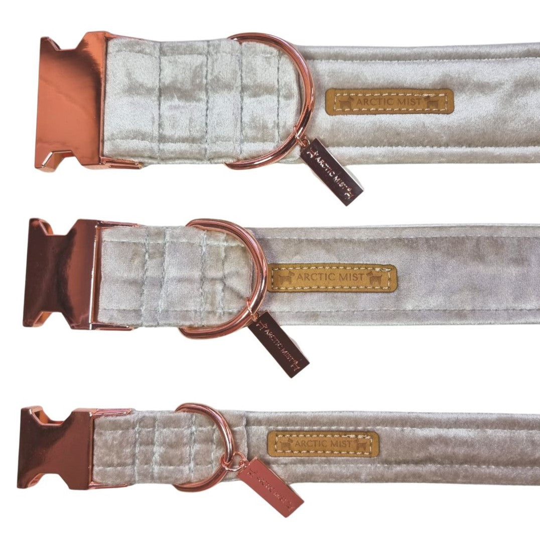 Champagne Velvet Buckle Collar
