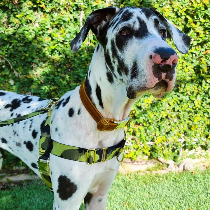 Glam Camo Harness