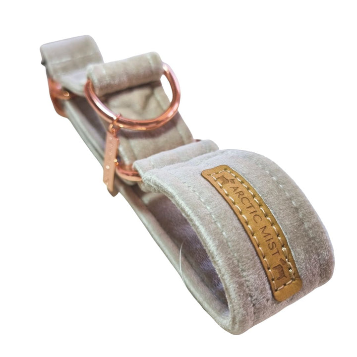 Champagne Velvet Martingale Collar