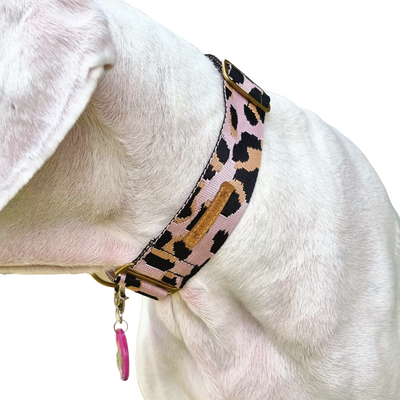blush leopard nylon webbing martingale collar