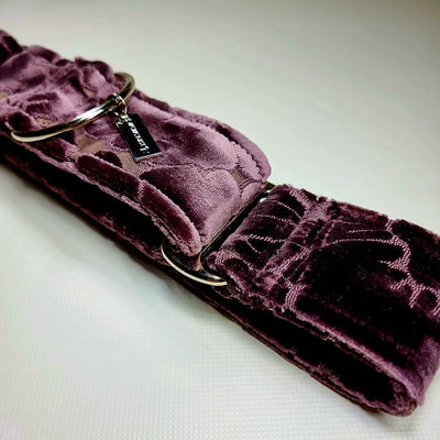 Potent Purple Embossed Velvet Martingale Collar