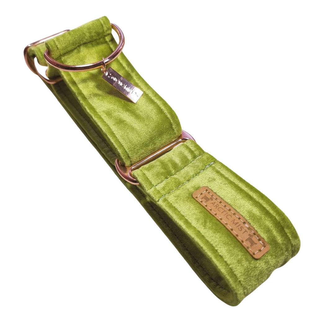 Lime Green Velvet Martingale Collar