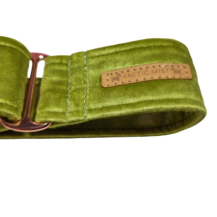 Lime Green Velvet Martingale Collar