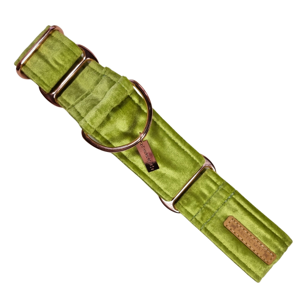 Lime Green Velvet Martingale Collar