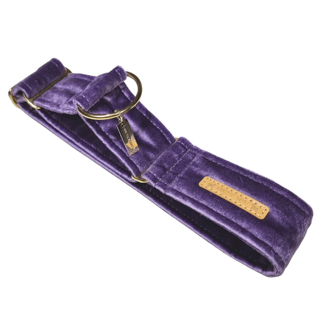 African Violet (Purple) Luxury Velvet Martingale Collar
