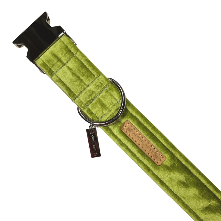 Lime Green Velvet Buckle Collar