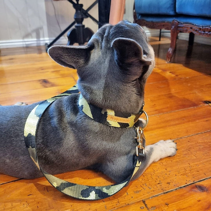 Glam Camo Buckle Collar