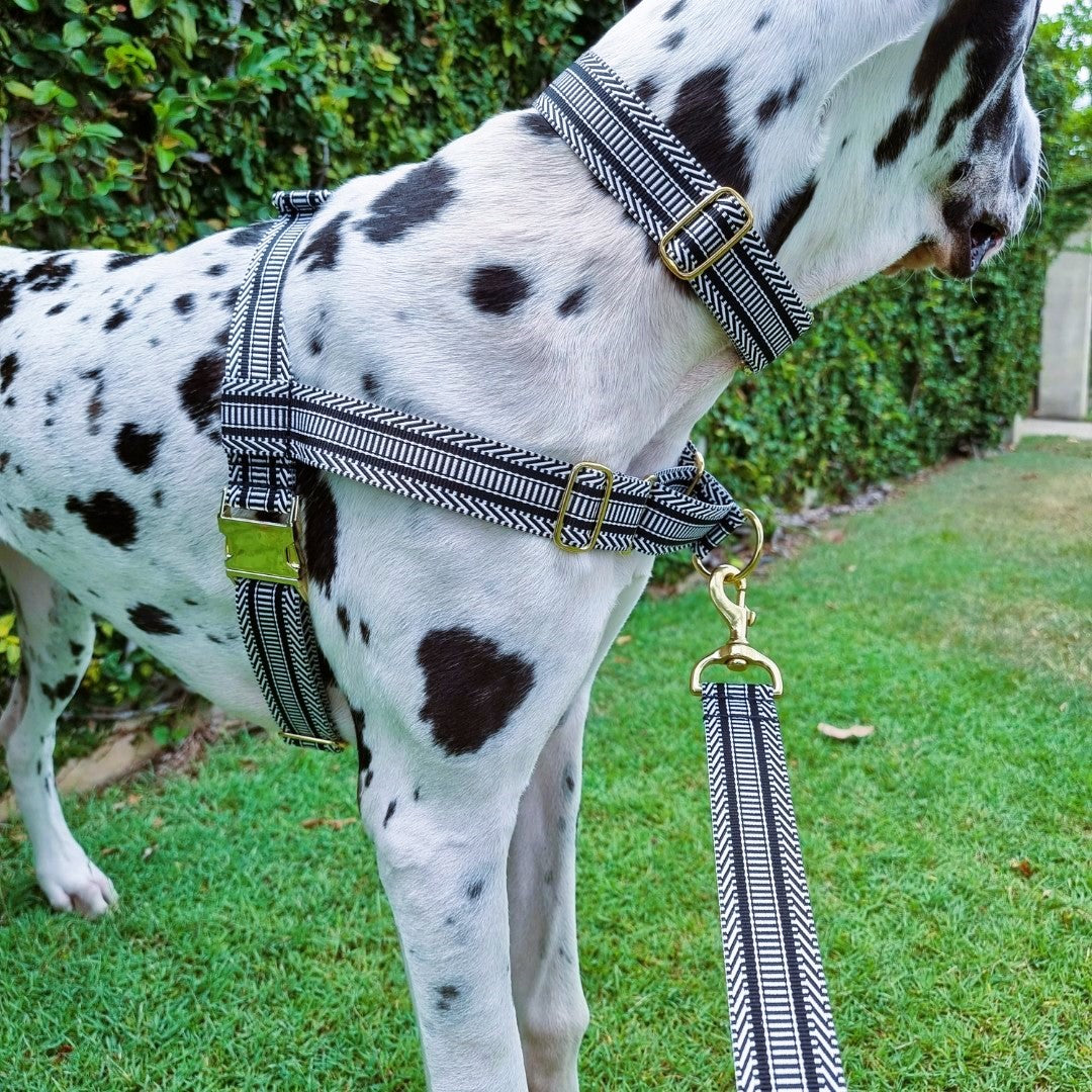 Aztec Harness