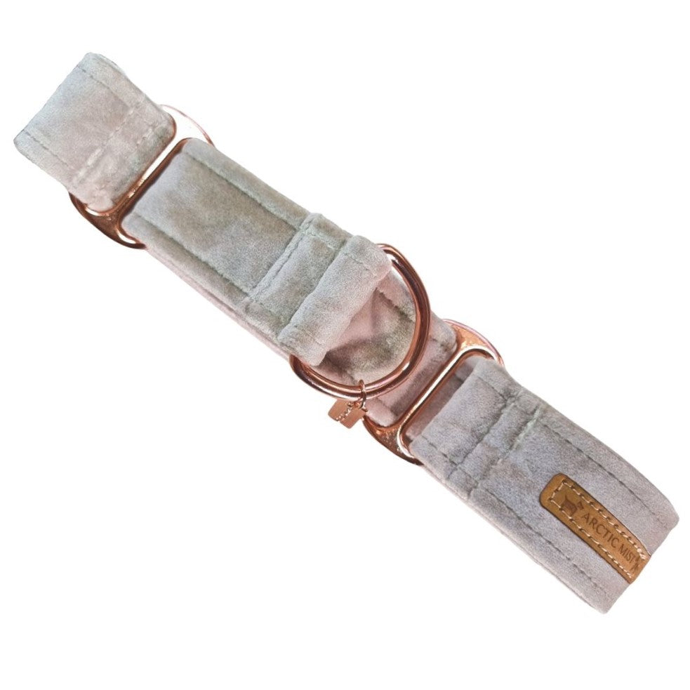 Champagne Velvet Martingale Collar