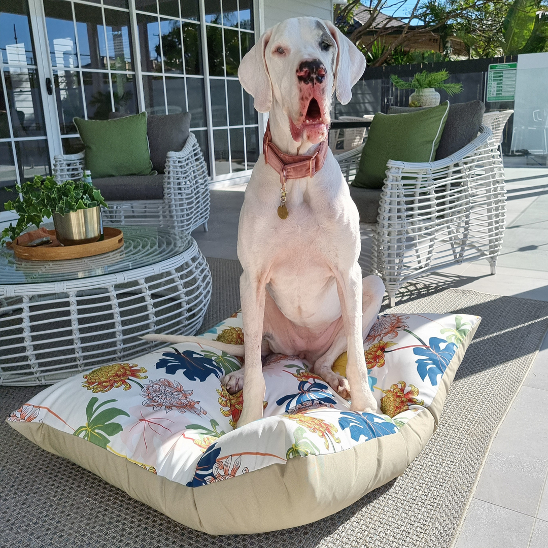 Resort Outdoor Bed