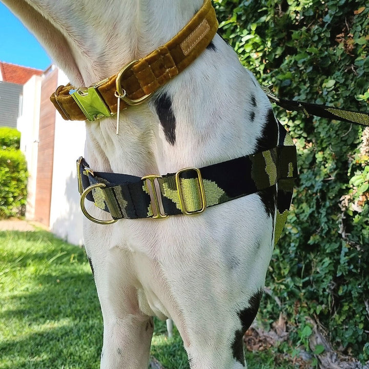 Glam Camo Harness
